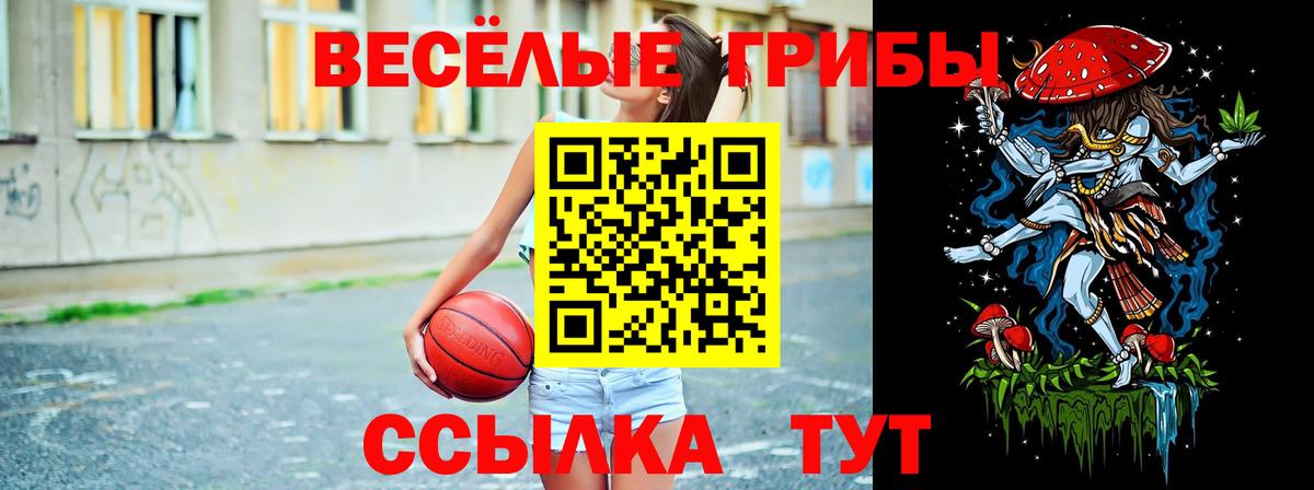 Псилоцибиновые грибы Magic Shrooms  Вход с VPN  Галлюциногенные грибы ЛСД  купить наркотики цена  Костомукша 
